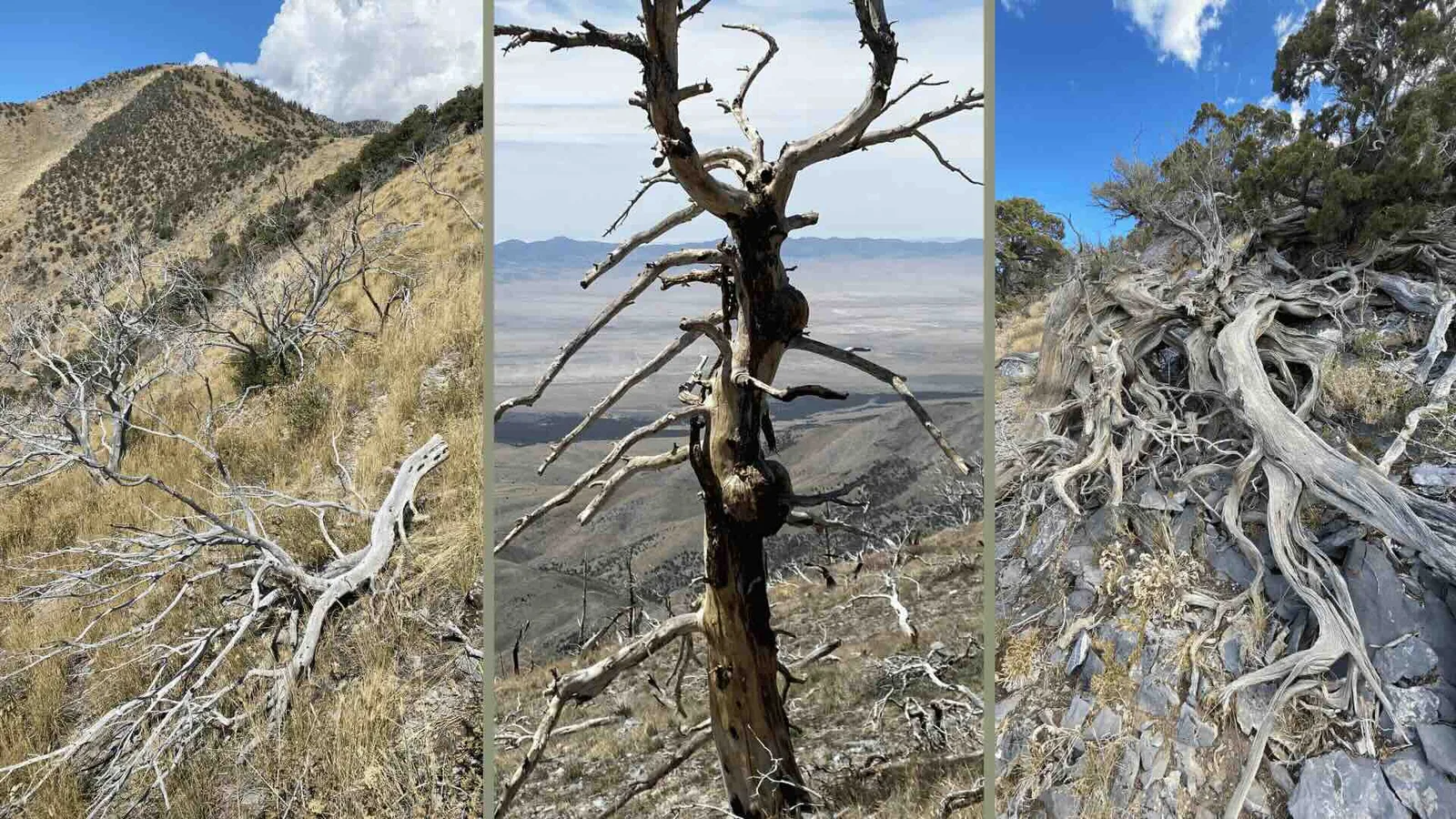 High mountain terrain where pieces are discovered